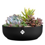 jazz bowl 28cm living schwarz